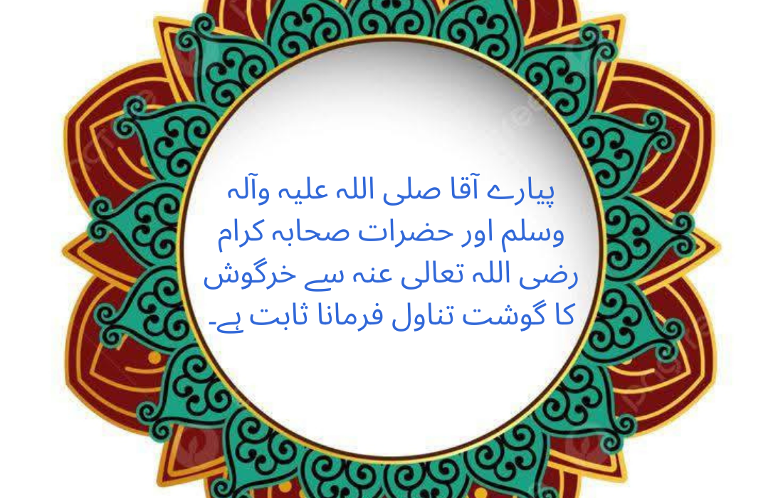 خرگوش پالنا