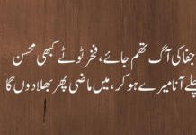 Urdu Quotes Life Urdu