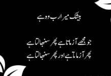 Islamic Quotes urdu islamic